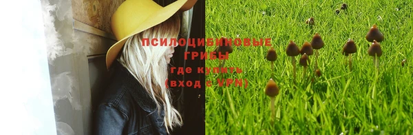 apvp Навашино