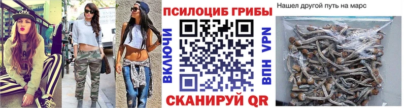 Псилоцибиновые грибы MAGIC MUSHROOMS  Подпорожье 