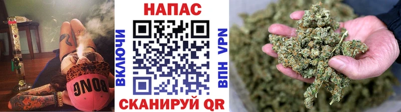 Конопля Amnesia  продажа наркотиков  Подпорожье 
